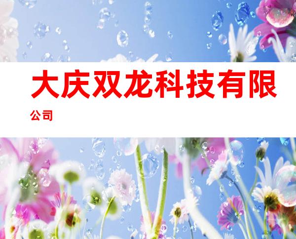 大庆双龙科技有限公司